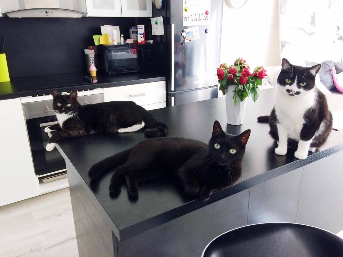 14895672_10202318037468389_1774291338_o