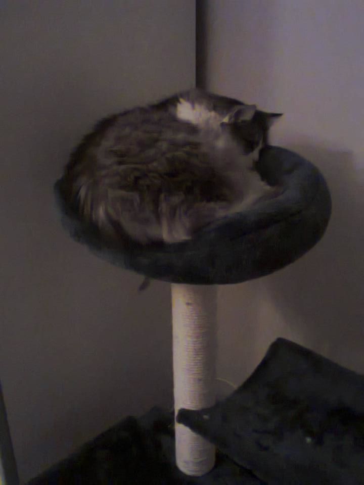 14915336_699329826898290_8340696114798306016_n