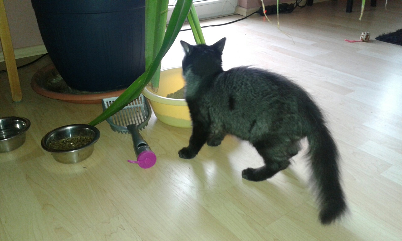 20161002_084511_resized