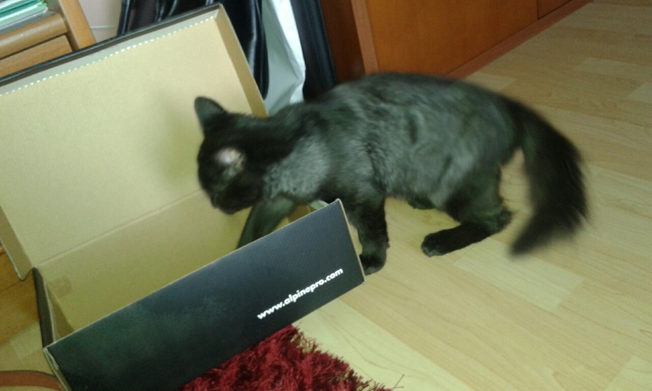 20161002_084618_resized