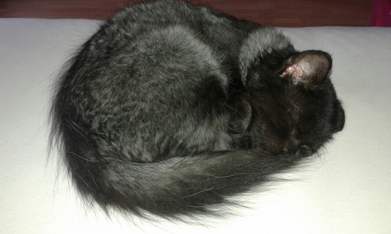 20161002_153615_resized