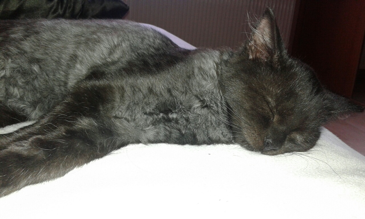 20161002_154406_resized