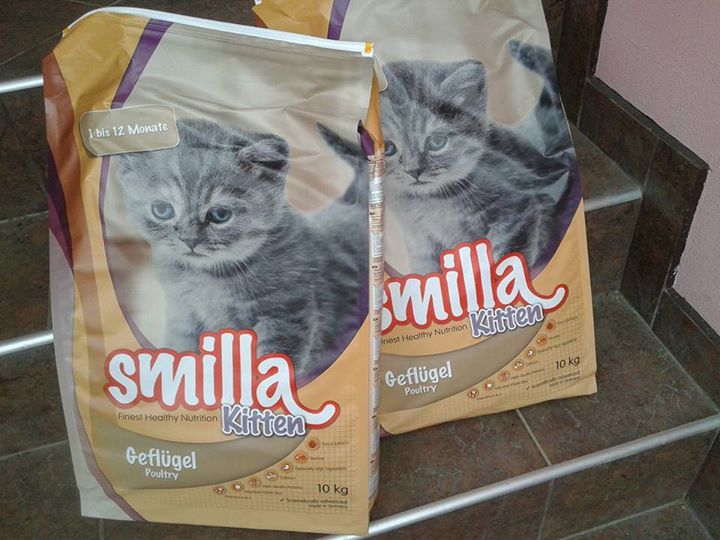 399274ad2f6a26573dc1