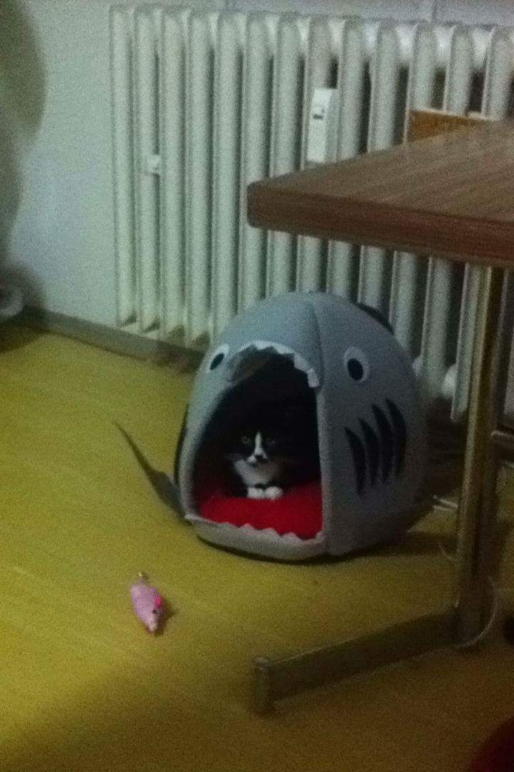 received_10202510910249580