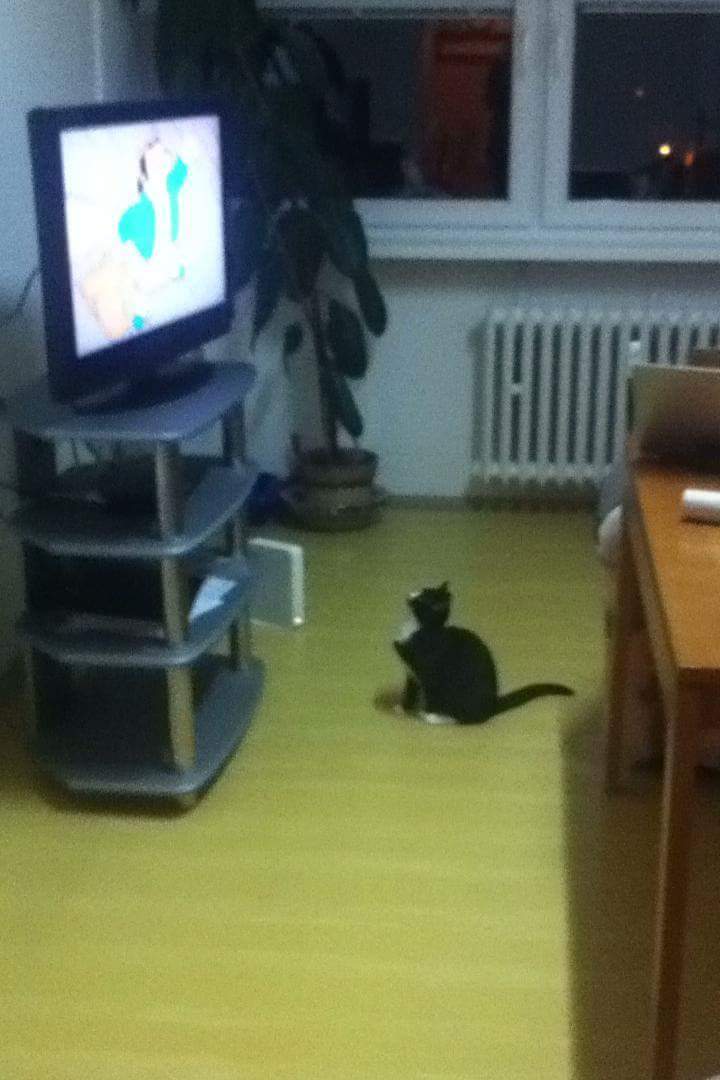 received_10202510955650715