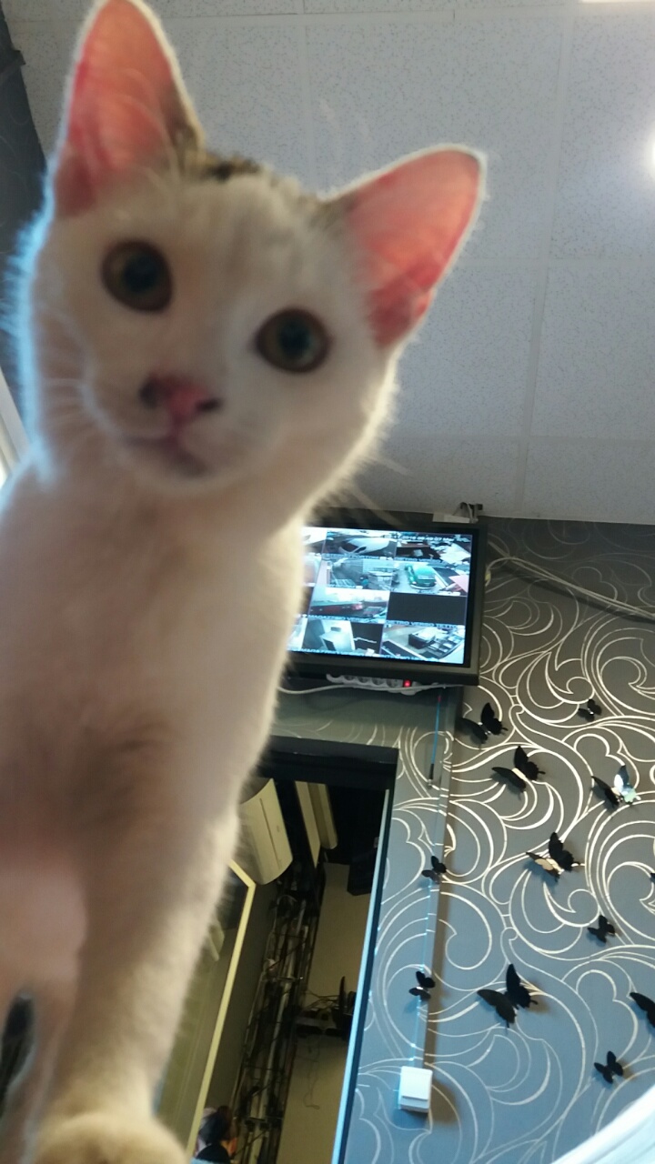 0-02-05-082bf8faefd034fb19d6698831ab3140c533e5e4c9c3acec1d6bfbdd004e778c_full