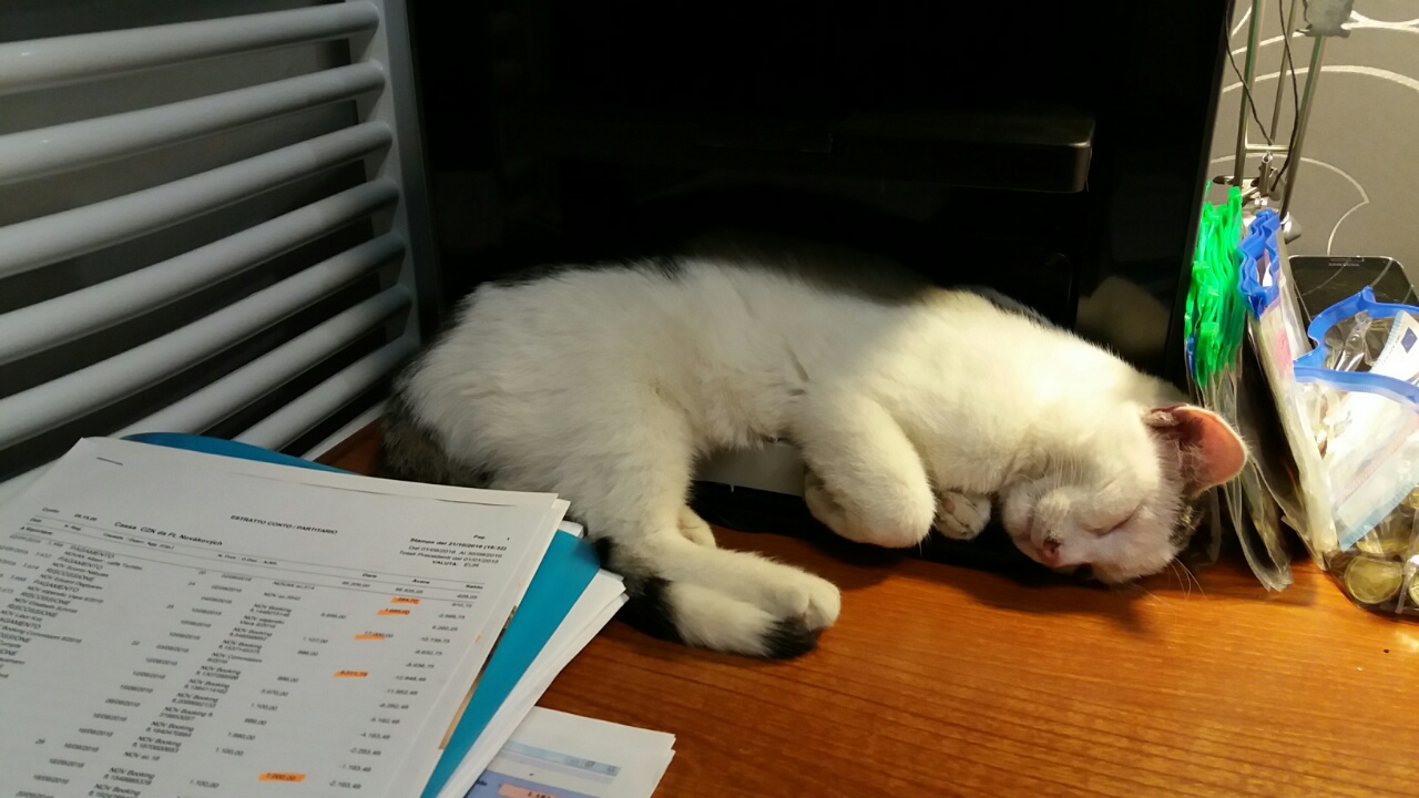 0-02-05-2b76a4fbd7fbbfaa1950e658b4d658c5f7591a6a04802738c830e45960b8036a_full