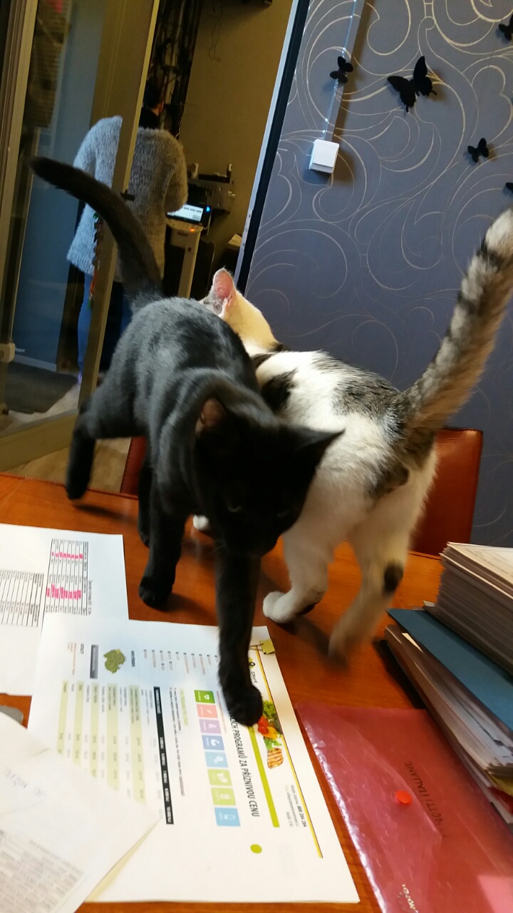 0-02-05-3c8f0d606e0a1ebbfc5c11382e5427b60747cd1785a5e06cde4be2f88ec12be5_full