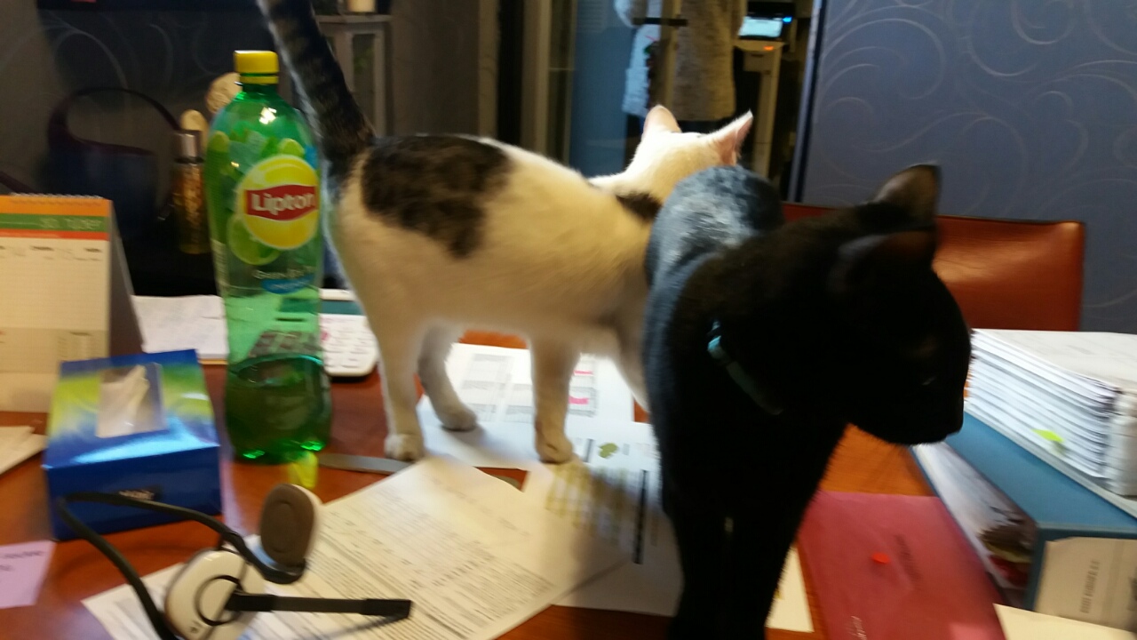 0-02-05-673617e0247769efe6270d3280e96d30e73f8fac740f4588ab0efb658d4c8625_full