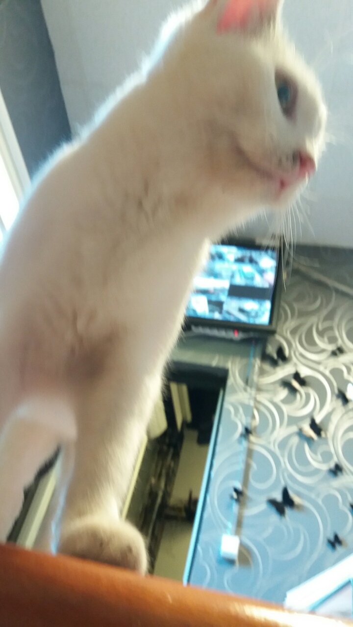 0-02-05-93391d4eeefe5fbe47eb8c754fe88270228d8d08ed78cb976e6ff15cad97016b_full