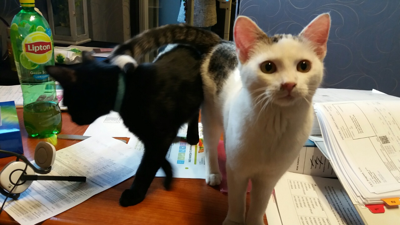 0-02-05-bf1226bc4e6b89d3b888d6ad9ea2ea1443c28e07c055b1e2e95384ec8f57a877_full