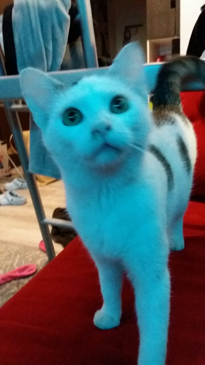 0-02-05-c886fef1d1cb2e044a7458f668aa696d826b750ebb15cff7083716bea205bd38_full