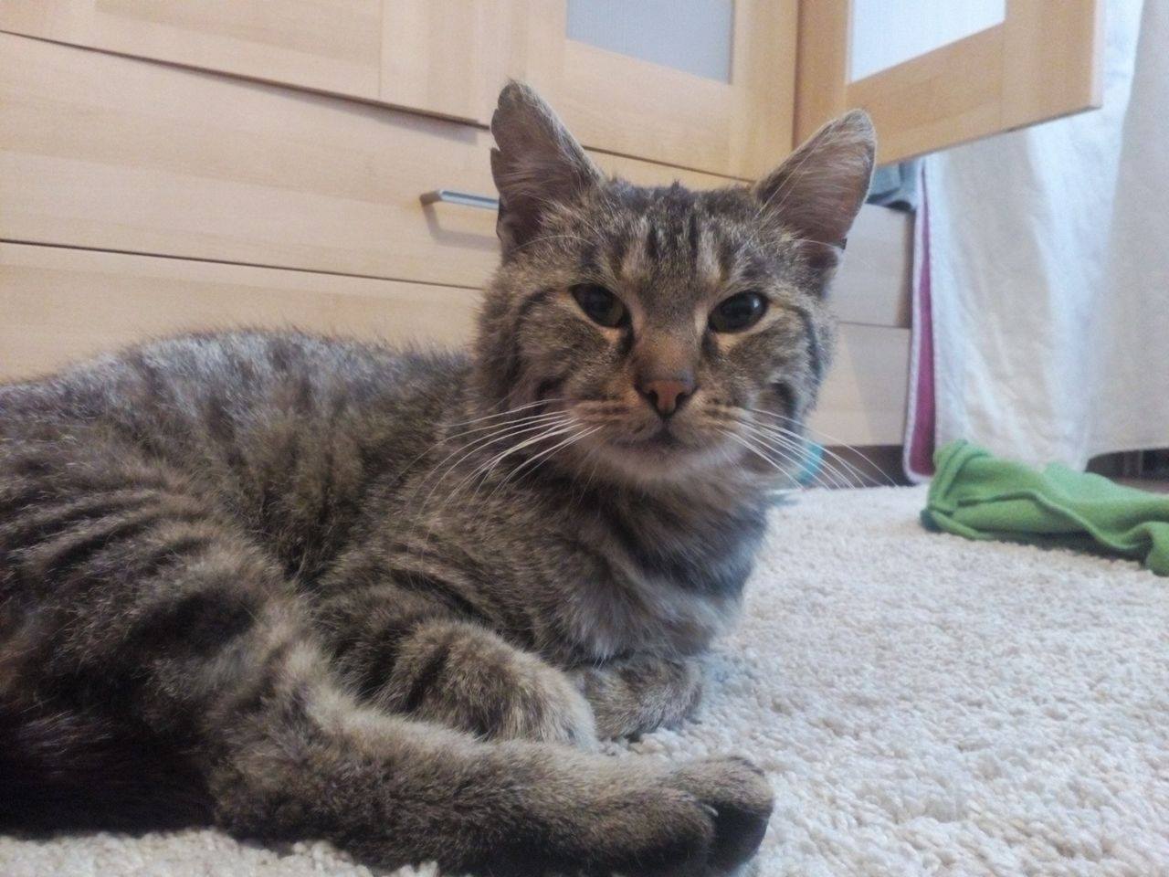 14859677_10205948125780827_4991283557941298563_o