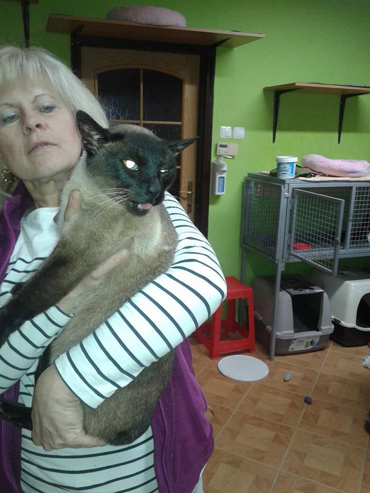 14915183_705889136242359_7144193602620890436_n