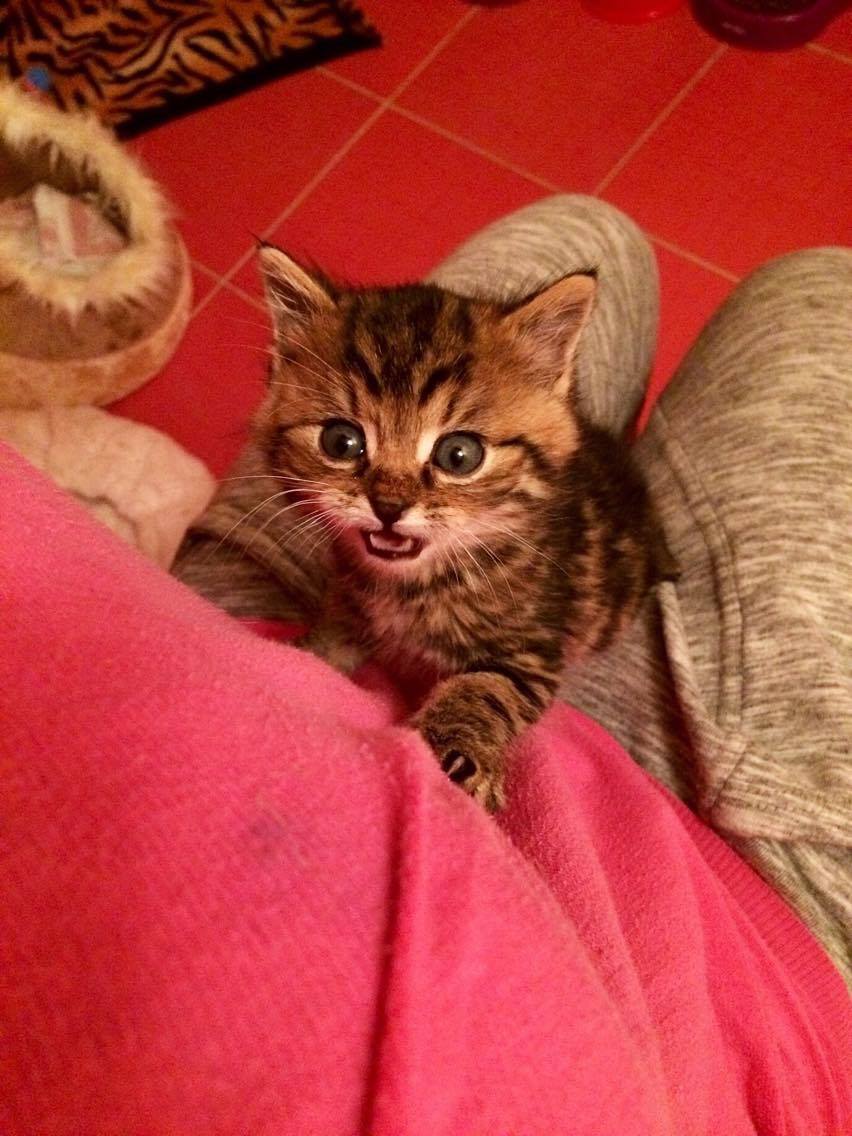 14922941_10202341410252694_1564834405_o