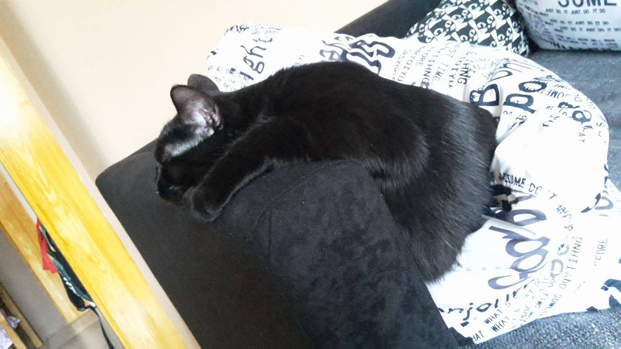 14923111_1340220326012623_789694601_o