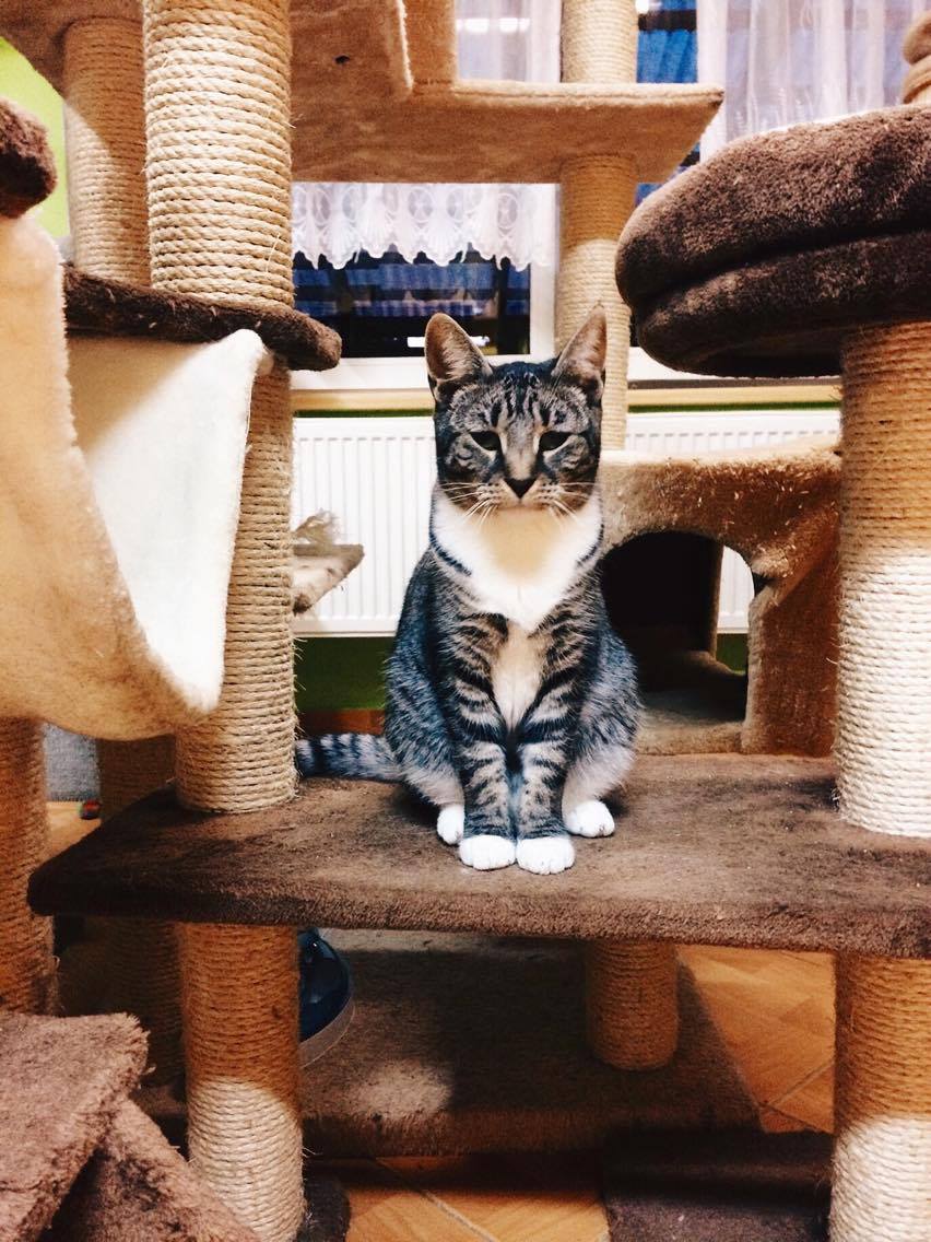 14923123_10202341407372622_850640053_o