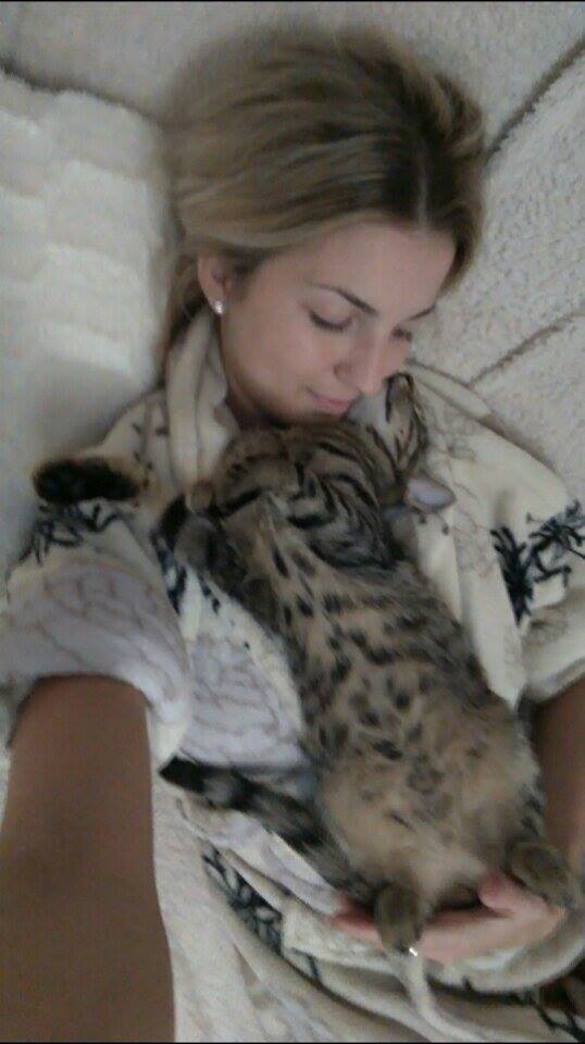 14958796_1308581802485947_993977552_n