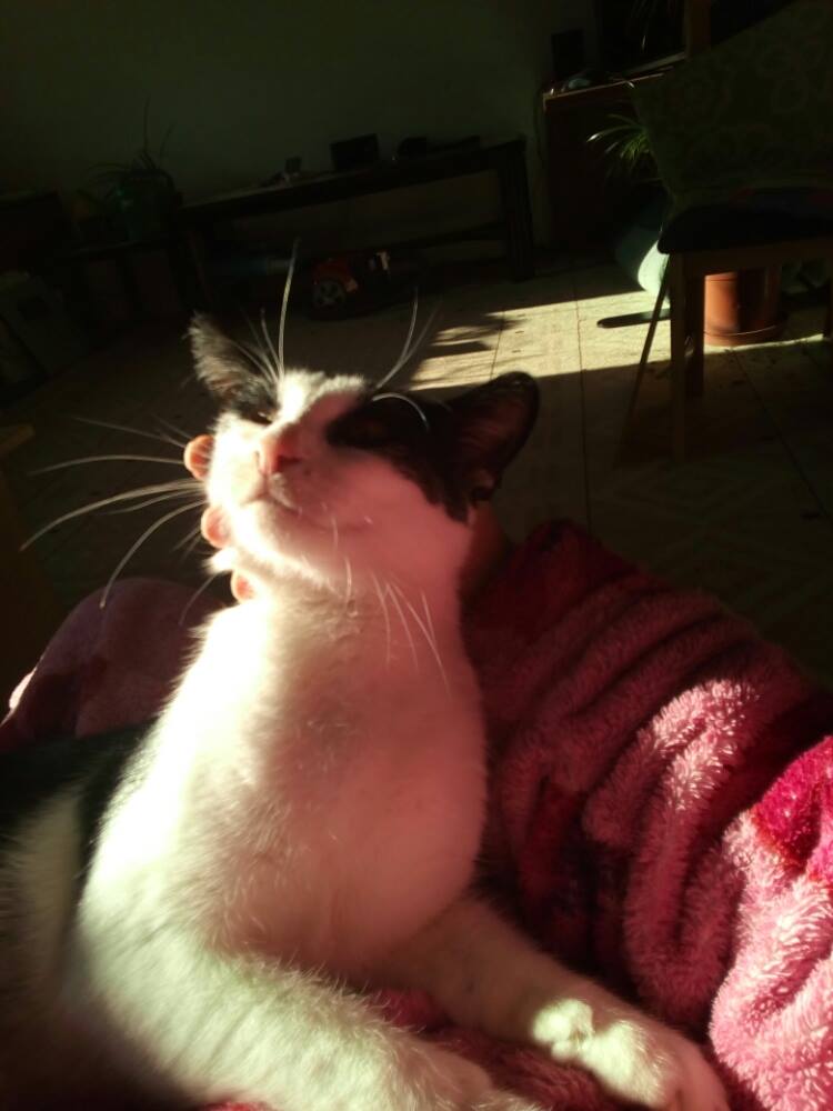 14959138_457610624409250_1859372207_o