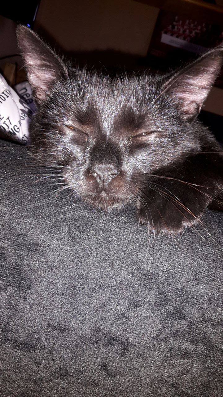 14959155_1340220316012624_2007200391_o