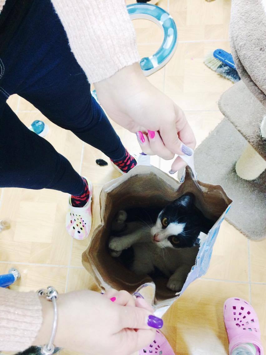 14959174_10202341403852534_1534148680_o