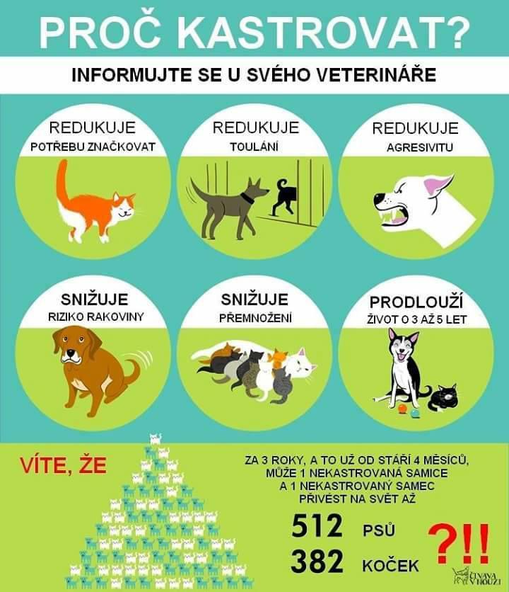 14962775_1190118261034905_951293674607835531_n