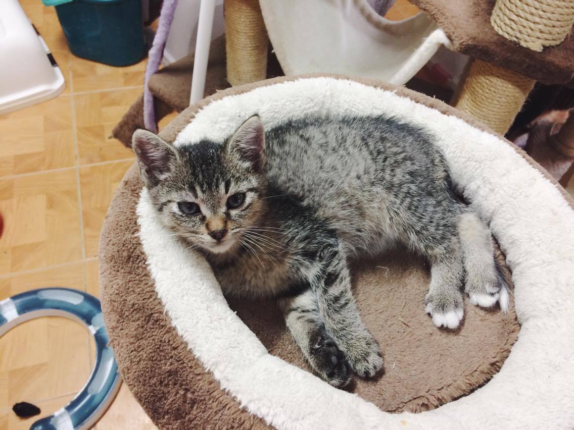 14963634_10202341404812558_1069186764_o