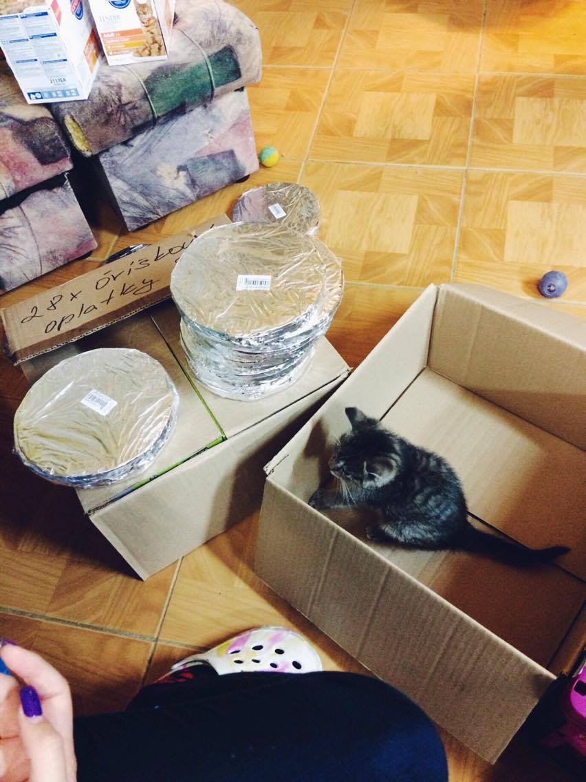 14970868_10202341407292620_1330653590_o