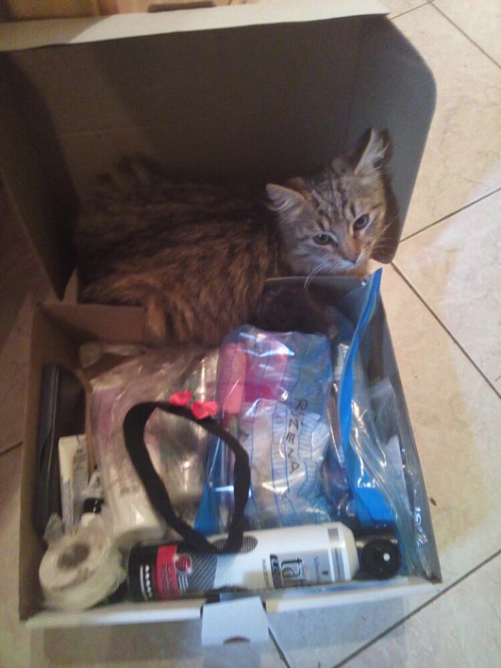 14971872_455427641294215_800541474_n