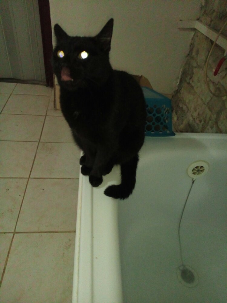 14975826_455427597960886_1276443569_o