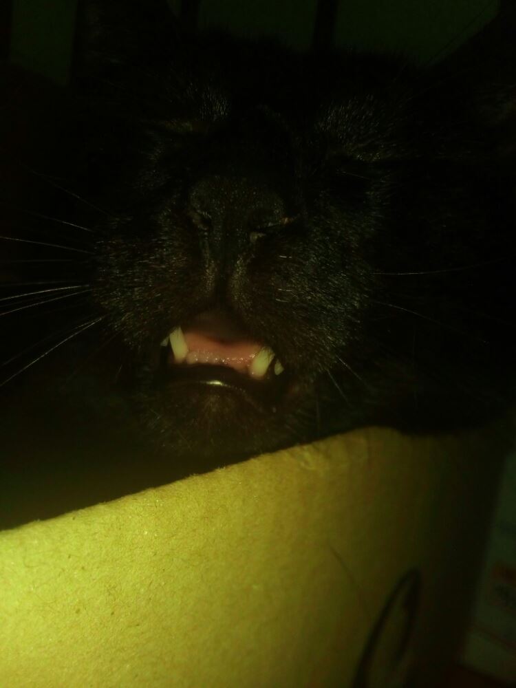 14975978_455427564627556_2042034986_o