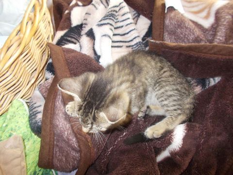 14980571_705541479610458_1704581433066159598_n