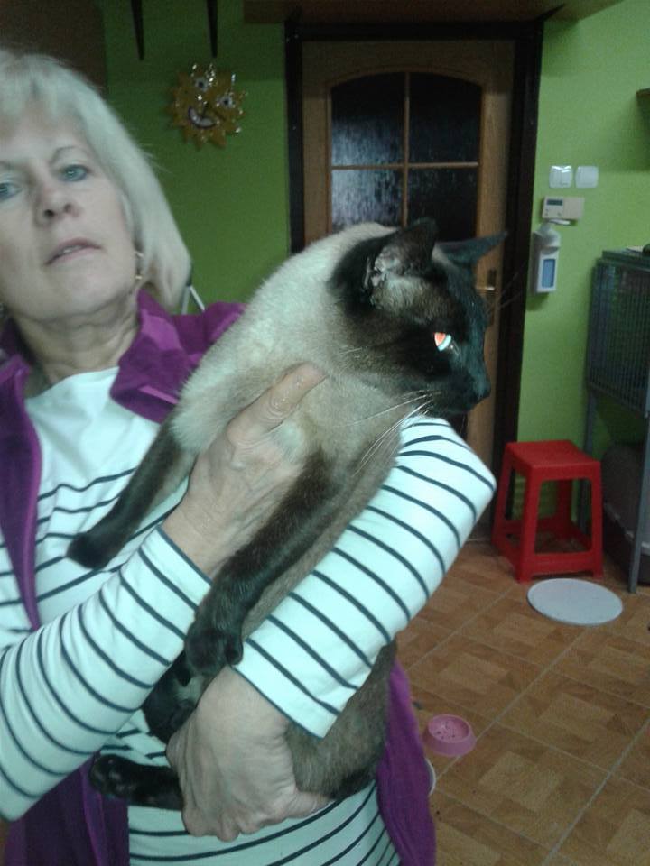 14991957_705889189575687_4429964417029502784_n