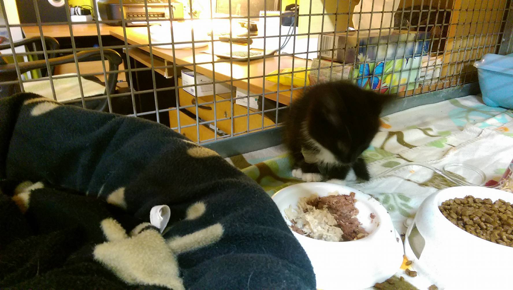 15000841_1723307507996392_7019626430246476310_o