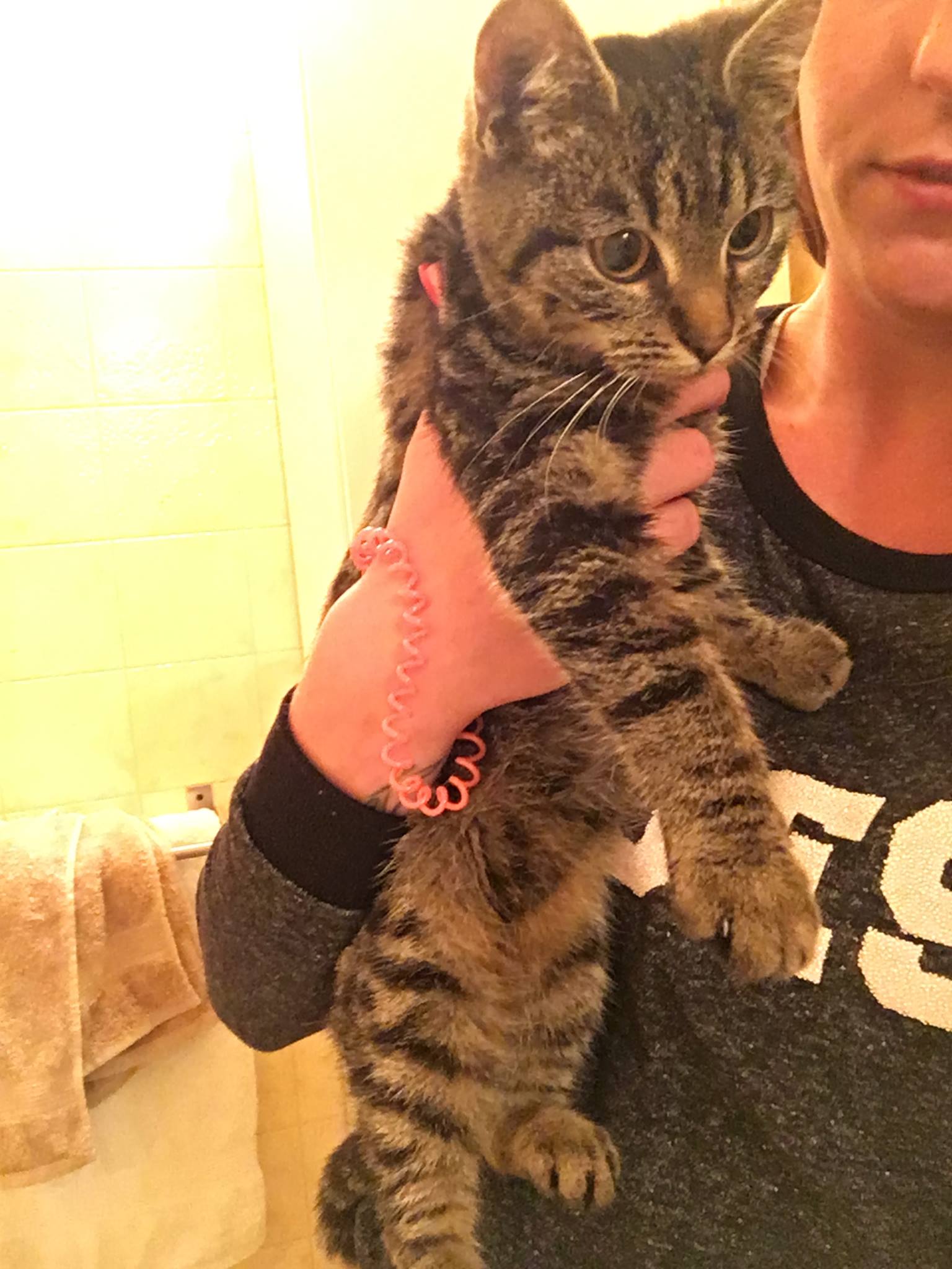 15002450_1248112308580257_4215328637157246064_o