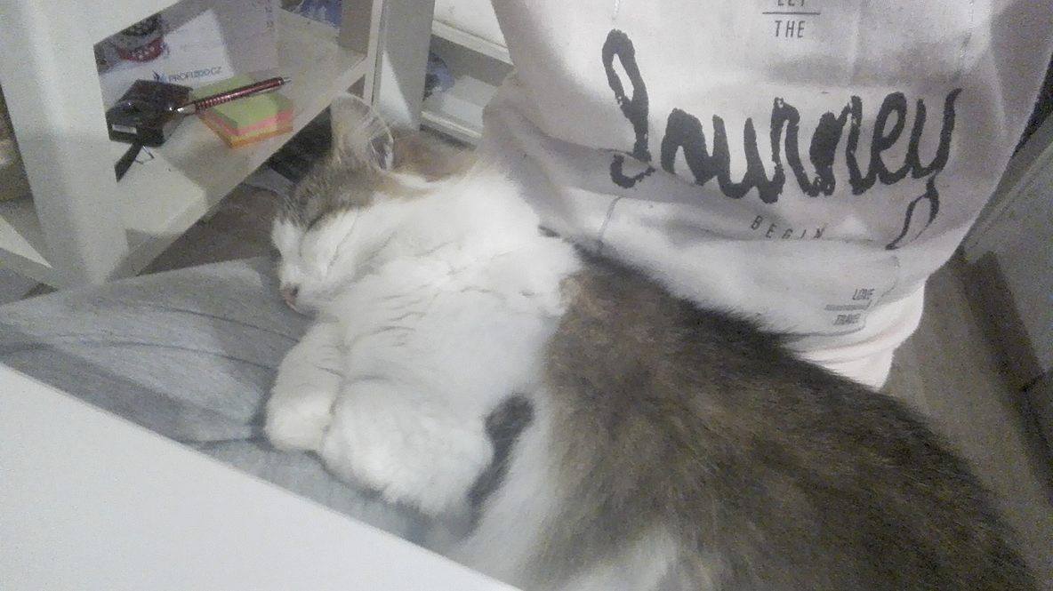 15007772_816771588463343_1953710942_o