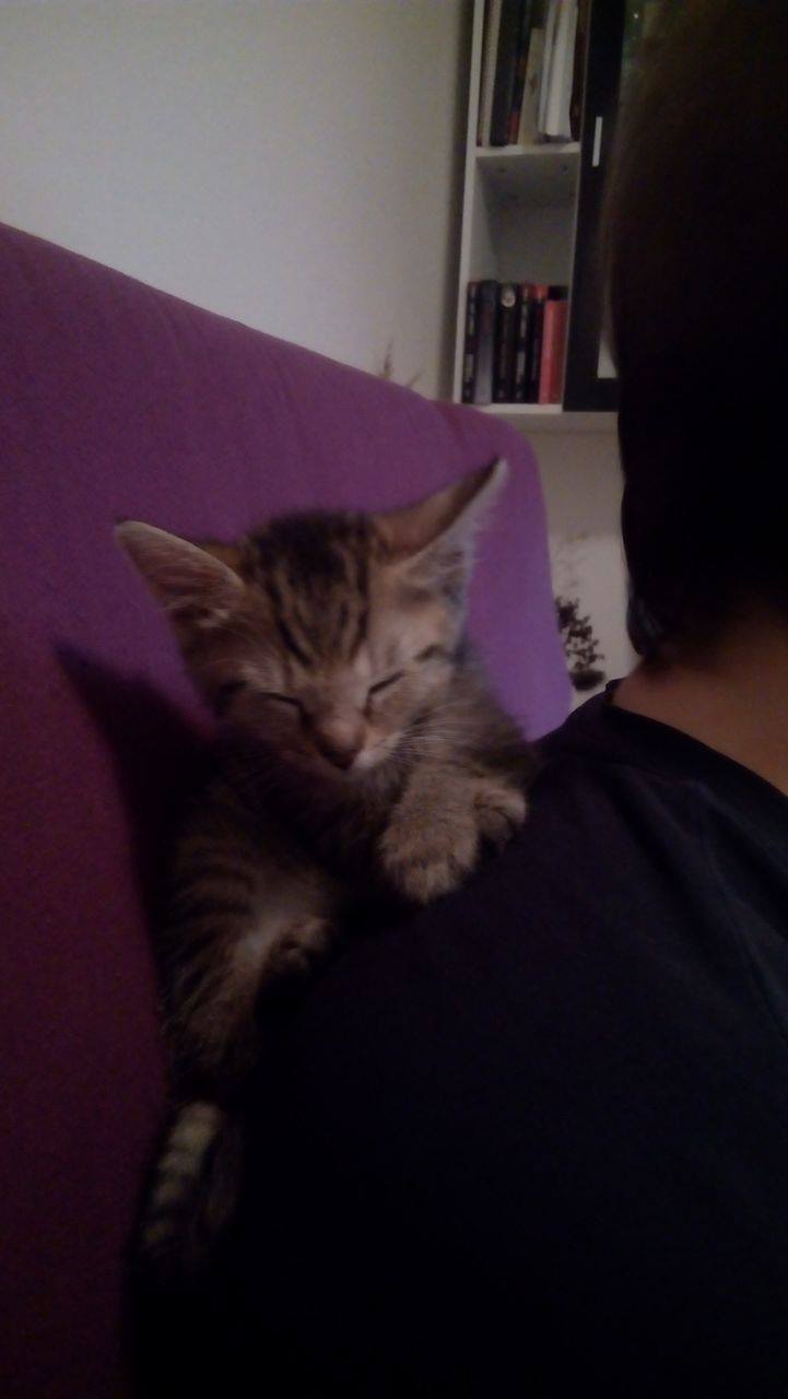 15007828_10205554572943279_888408953_o