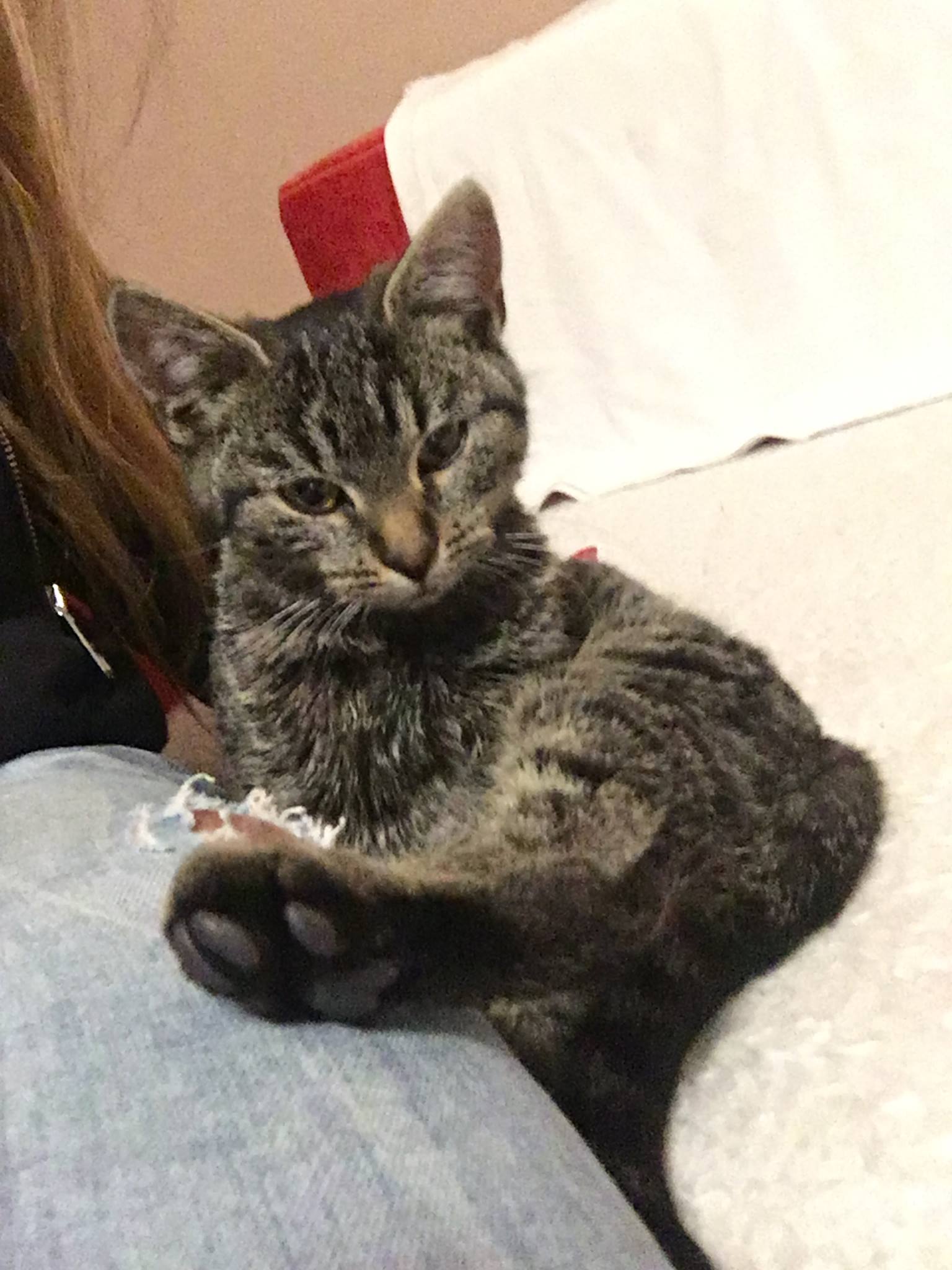 15016237_1248112535246901_929945741187916950_o