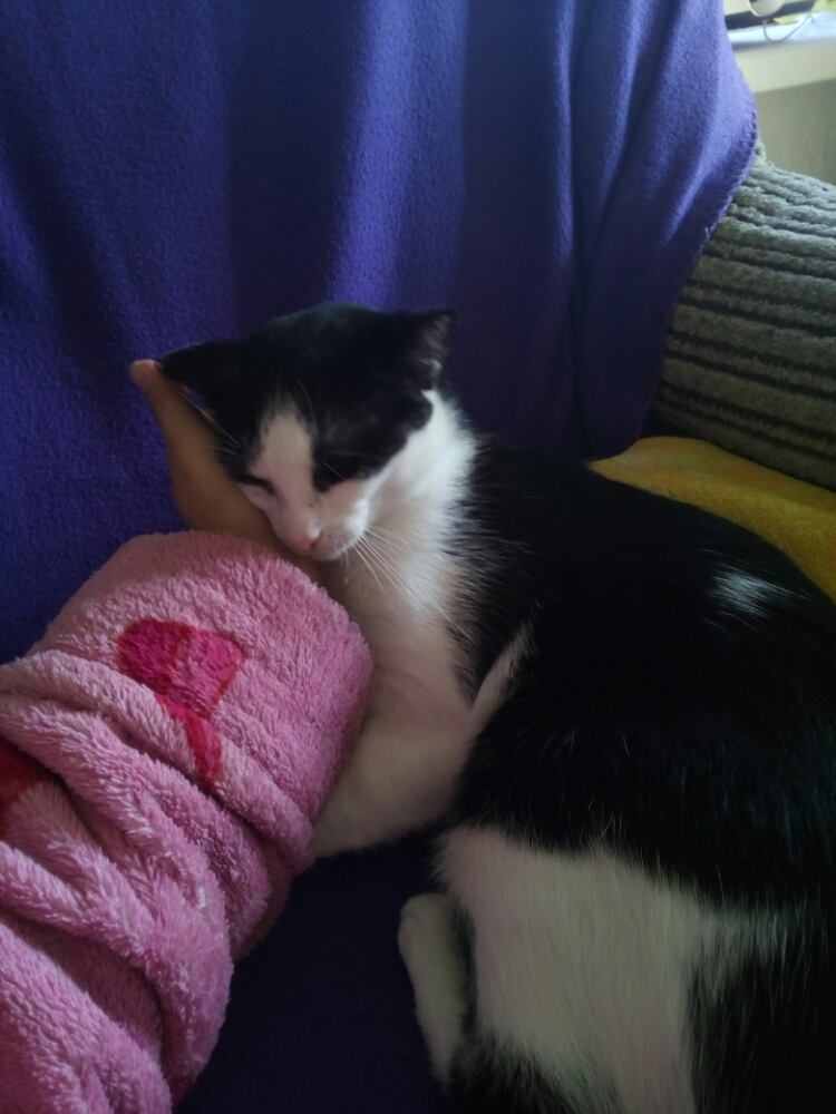 15034405_457610584409254_2068588965_o