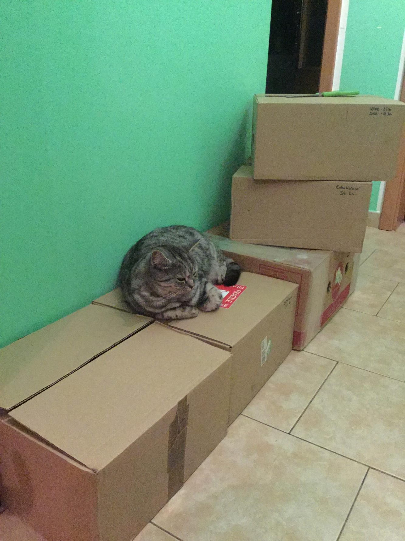 15034420_10206162486981506_1402145182_o