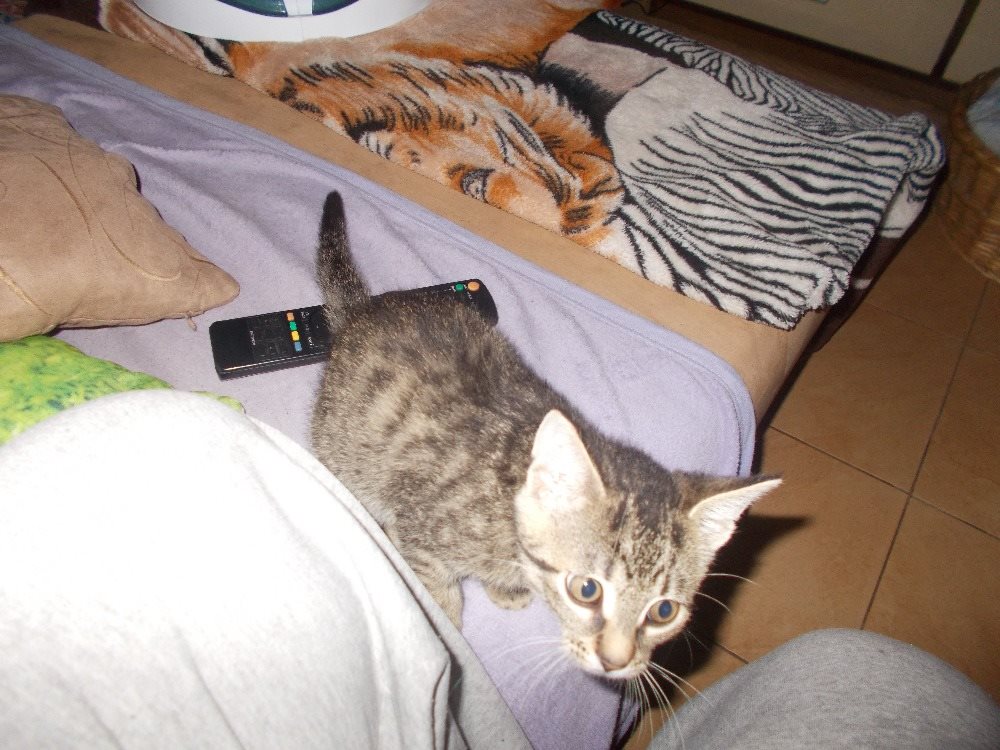 15042075_705541552943784_4564025816862691744_o