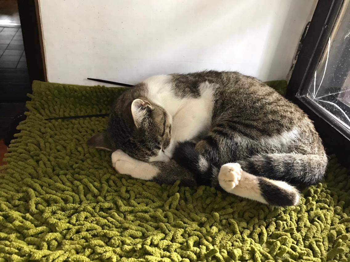 15042076_710369752460964_3858861157763544749_o