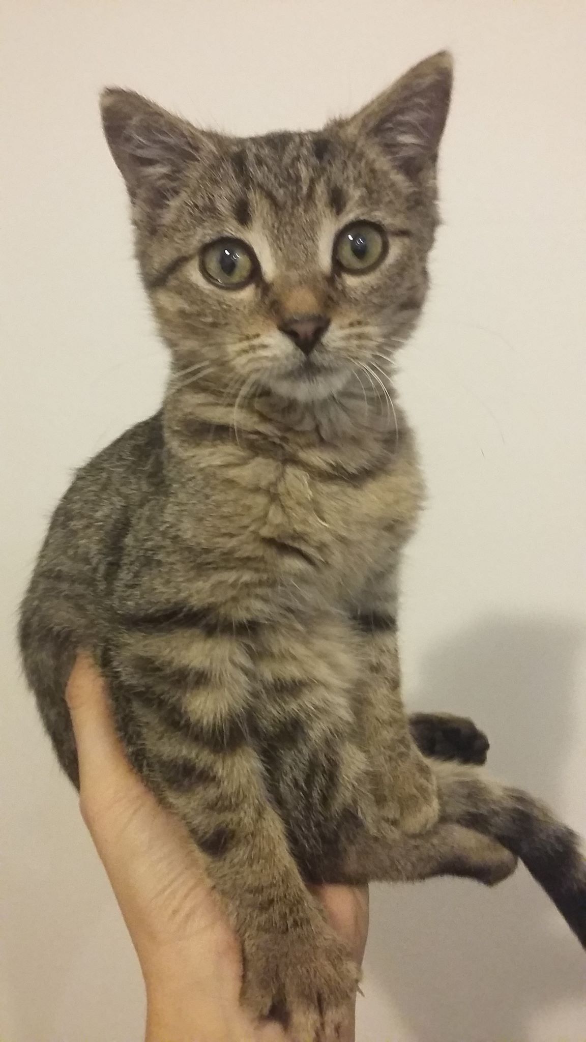 15053251_10154650241597567_1842090528_o