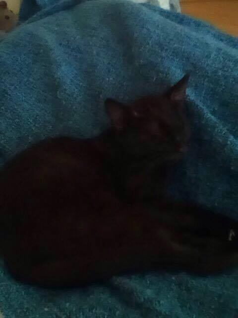 15057941_937794989698817_1180251503_n