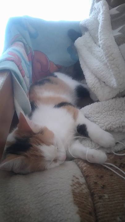 15058543_1400542773298876_1876766309_n