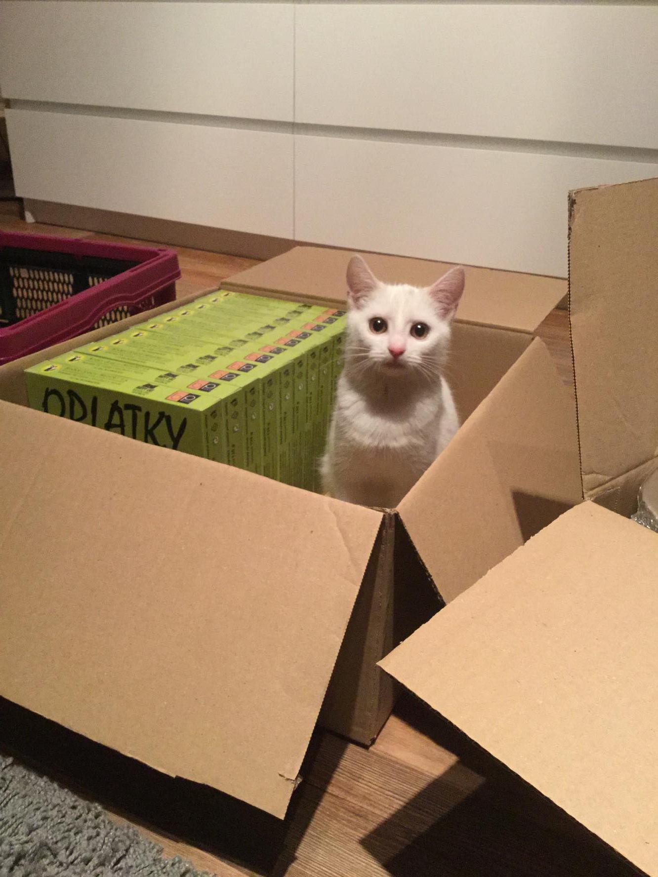 15064127_10206162392019132_1478427657_o