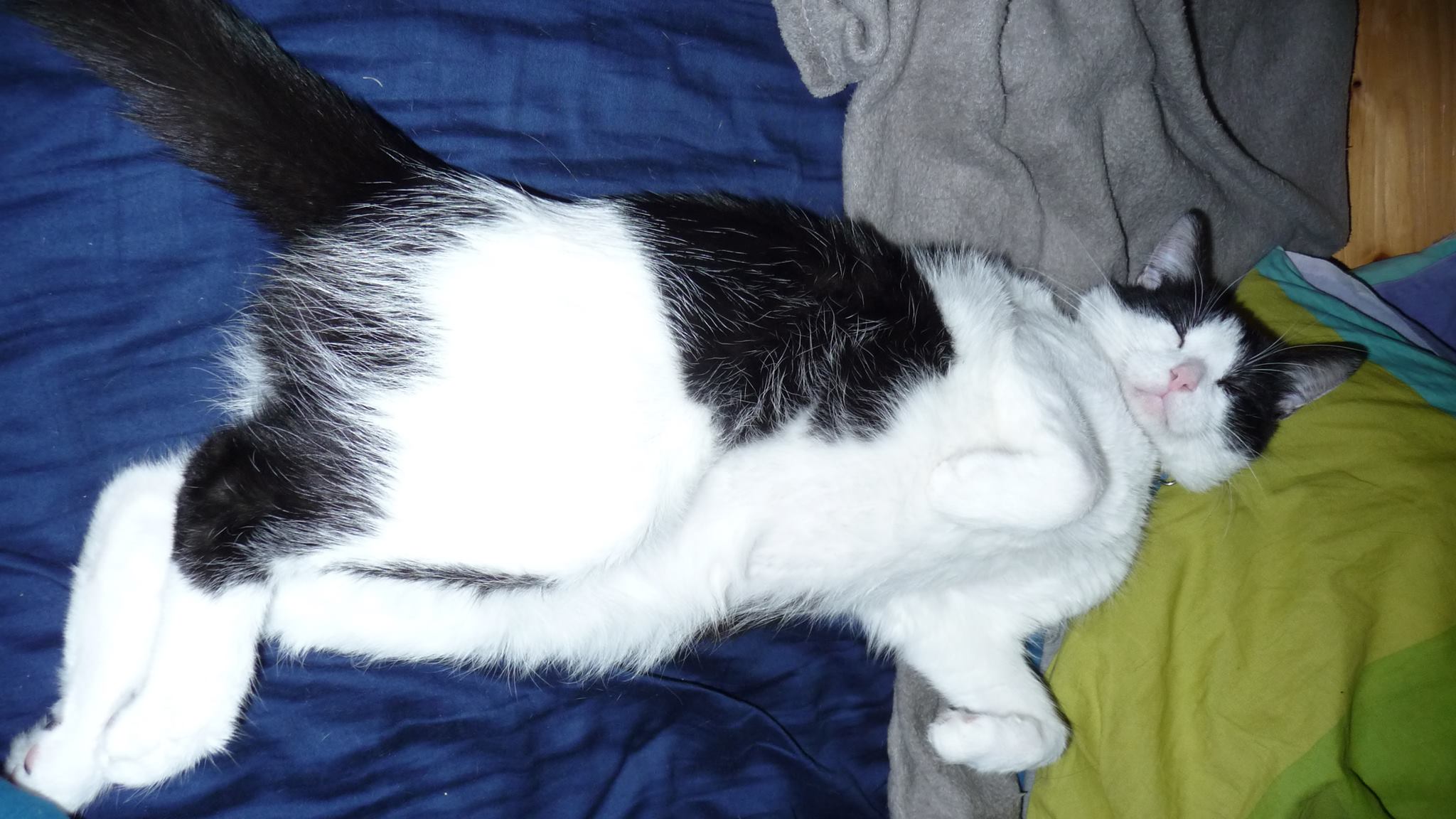 15065071_1363409027010902_1369108860_o