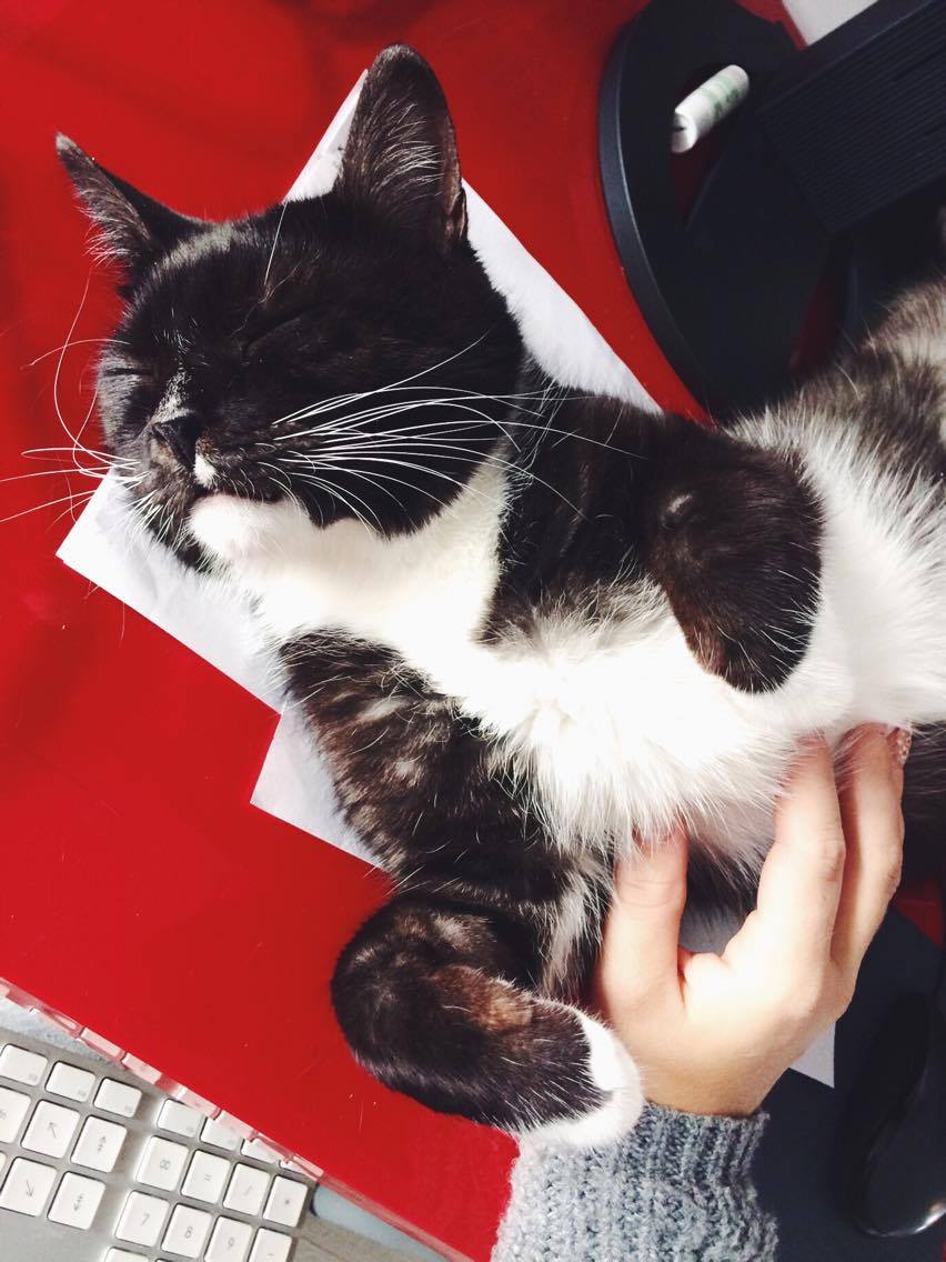 15102012_10202407031773191_1415896017_o