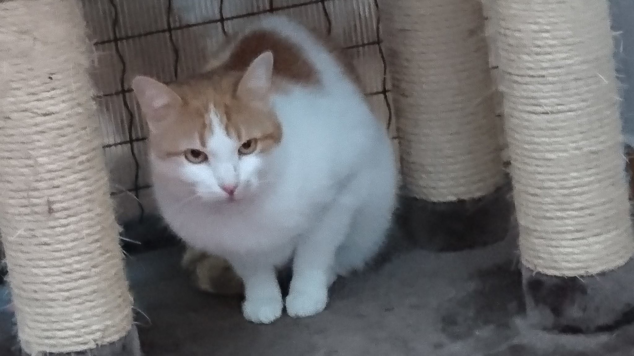 15111042_712805845550688_5034783810959265509_o