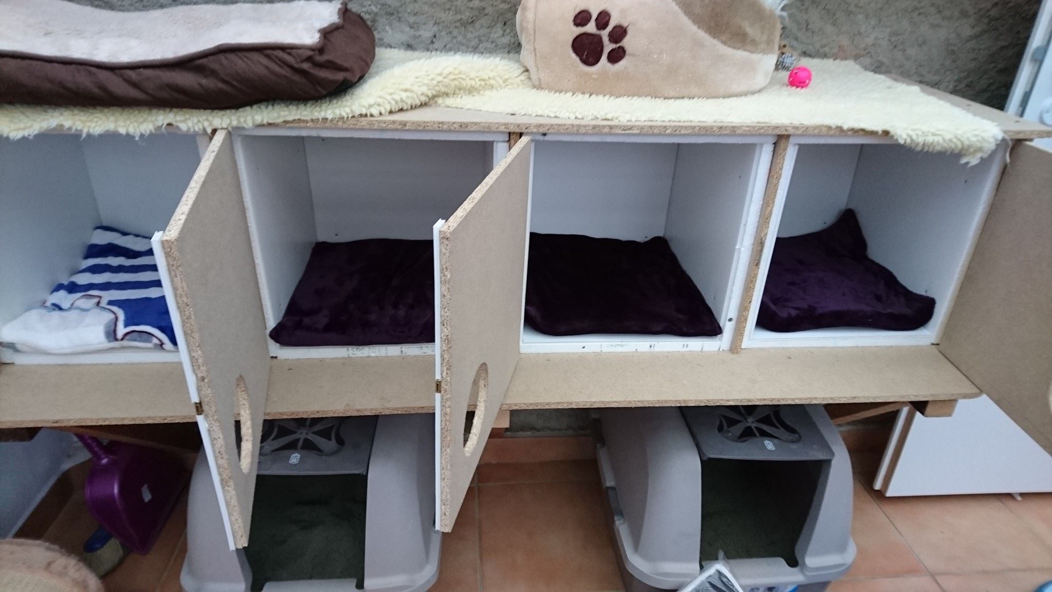 15122899_712806312217308_1278132415041112436_o